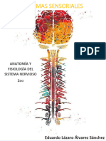 Clasificación y Características Generales de Los Sistemas Sensoriales