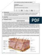 Guia de Practica Tegumentario. 1 Anatomia Ii 2023