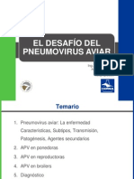 Pneumovirus Aviar (Esp)