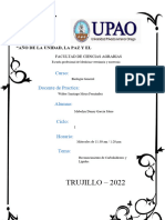 Informe de Carbohidratos y Lipidos