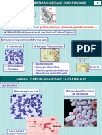 Aula Fungos Características Gerais