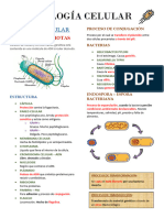 Biología Celular