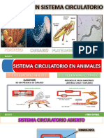 Circulación Enviar