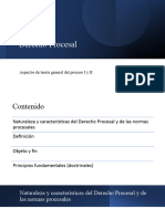 Derecho Procesal