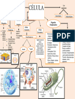 Mapa Conceptual de La Celula 6