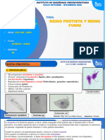 SEMANA 06 REINO PROTISTA Y REINO FUNGI CICLO PRE ADES SETIEMBRE DICIEMBRE 2022 Clase Final