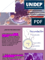 Fecundacion e Implantacion