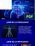 Fisiologia y Patologias Mas Frecuentes en El Sistema 2