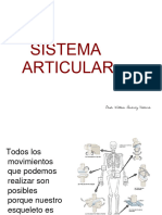 Sistema Articular