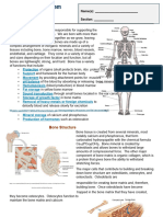 The - Skeletal - System Lab Act