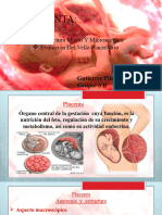 Exposicion Placenta