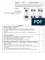 QCM Mitose