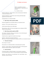 Anatomie Palpatoire N°2