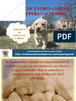 Técnicas de Entrenamiento Canino para Cachorro