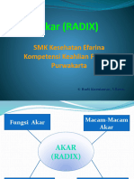 Radix