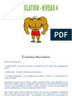 Musculation Dossier Donne Eleves