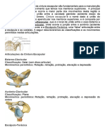 As Articulações Do Ombro e Da Cintura Escapular São Fundamentais para A Manutenção Da Grande Amplitude de Movimento Que Temos Nos Membros Superiores