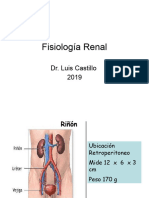 Fisiología Renal 2019