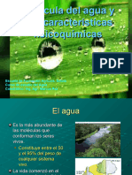 El Agua