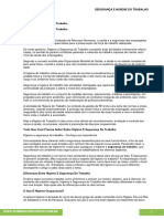 30 Segurança e Higiene Do Trabalho