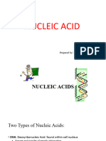 Nucleic Acid