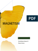 Physics Project Magnetism