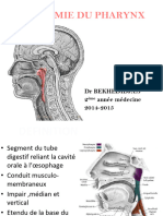 2-L'anatomie Du Pharynx