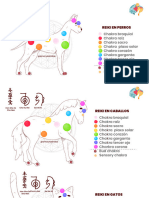 Graficos Reiki Amor y Ladridos 2023