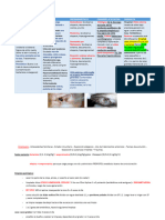 Patologias de OIDO Y OJO en Animales Menores