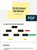 Cell Division