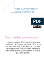 Segmentos Pulmonares y 1221284423293986 8