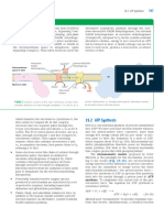 ATP Synthesis - Biophysics