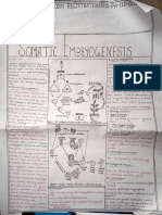 Somatic Embryogenesis