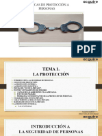 Tema 1. La Protección y Fundamentos de Peligro