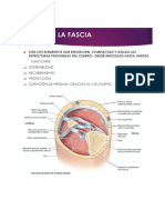 Anatomia de Craneo