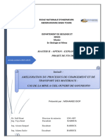 Pfe Final M2 Diop