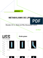 Clase 11 Metabolismo de Lipidos