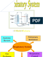 3.5 Physiology Respiratory System