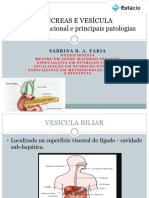 Aula 1 P Ncreas e Ves Cula