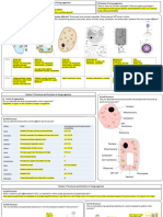 iGCSE-revision-mindmaps-new-specification-double-award ANSWERS Year 10 Mod