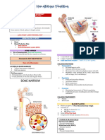 Hematologic Function