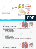 Anatomofisioogia Grupo2