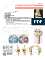 3 Lesiones Al Rededor de Rodilla - 221101 - 114551