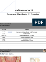 Dental Anatomy Lec 10