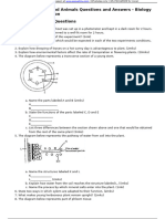 Transport in Plants and Animals Questions and Answers - Biology Form 2 Topical Revision Transport in Plants - Questions