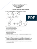 Ac Nucleicos Guia