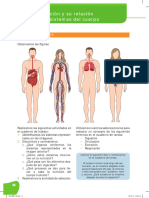 Folleto #2 - CCNN - 8vo