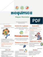 Mapas Mentales de Bioquímica