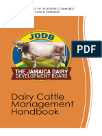 Dairy Cattle Management Handbook