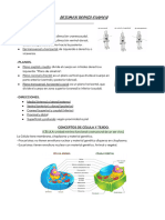 Wuolah Free Resumen Examen Apuntes Anatomia Gulag Free